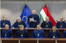 Several Critical Issues in the Development of the Administration of Hungarian Constitutional Justice