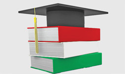 The New Hungarian Model in Hungarian Economic Science Higher Education