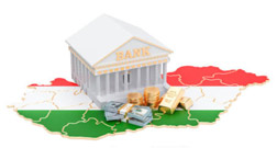 More than 30 Years of the Hungarian Banking System