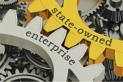 Audit Experiences of State-Owned Business Organisations in Service of the State Management Approach
