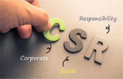 Perspectives in Corporate Social Actions and Social and Financial Performance