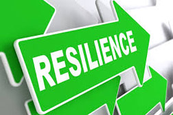 The Resilient Adaptation of Budgets to Small and Shock-like Changes