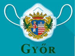 Impact of the Coronavirus Epidemic on Local Social and Healthcare Services through the Example of a Hungarian City