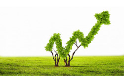 Certain Issues of Green Bonds and Their Perception by Financial Markets, with Focus on Hungary