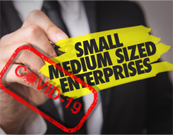 Effects of the Coronavirus Crisis on Hungarian Small and Medium-Sized Enterprises